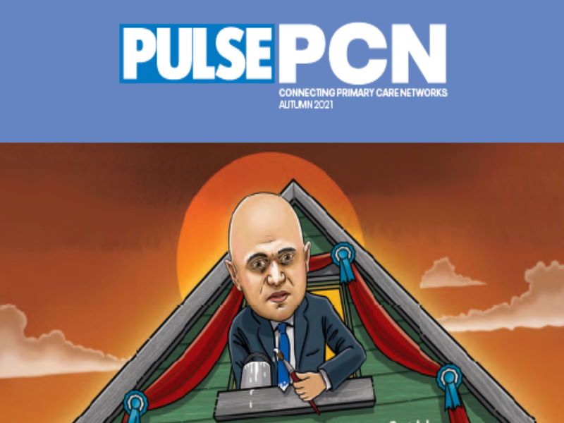 Pulse PCD Cover 800 600